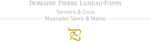 12997387045cc2e3573ff49